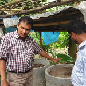 ভার্মিকম্পোস্ট